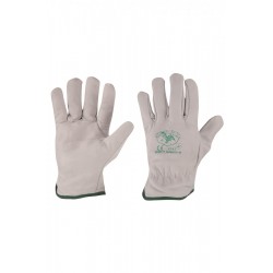 50/55 WINTER - Guanti